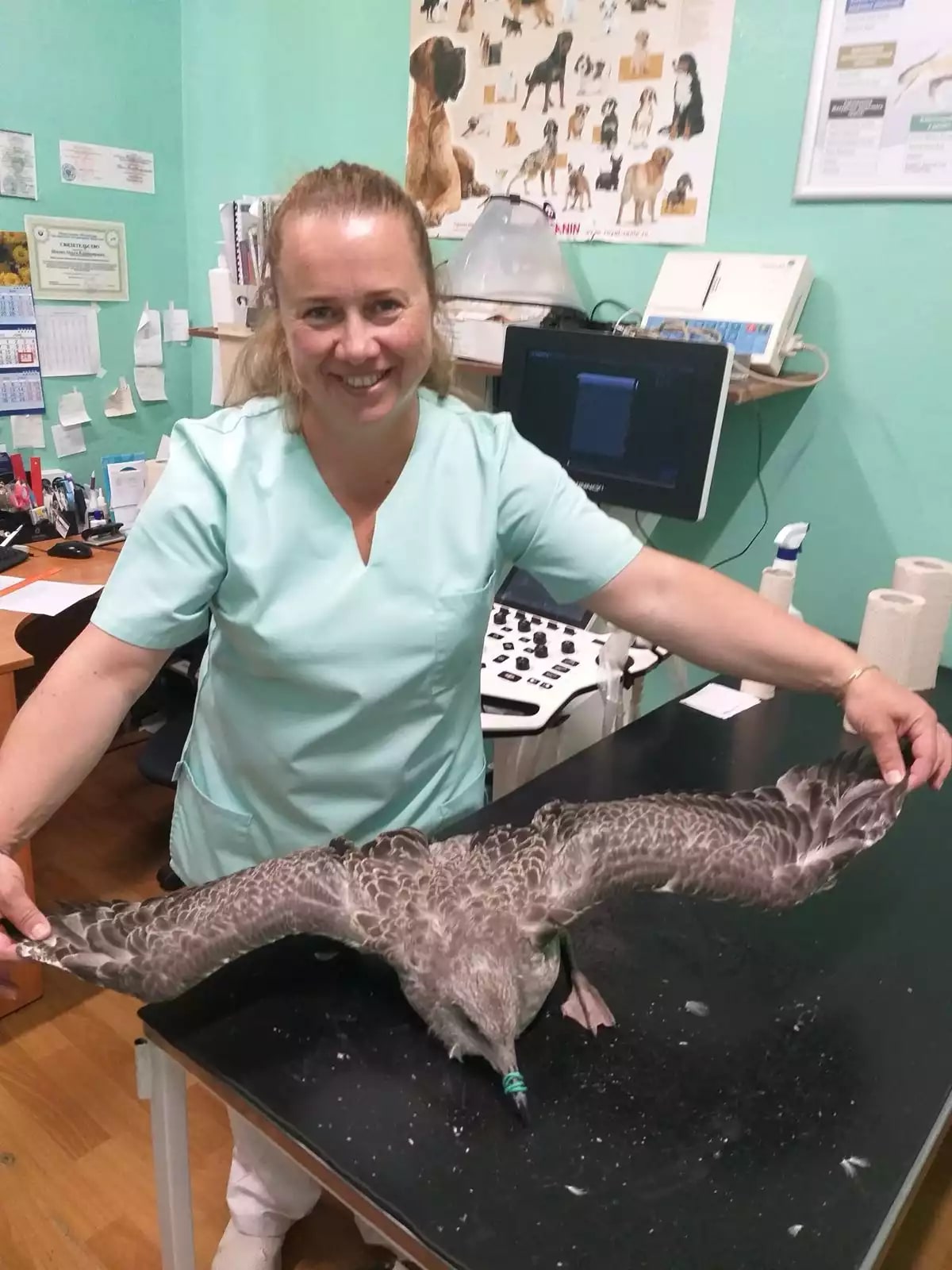 Шимко Ольга Владимировна