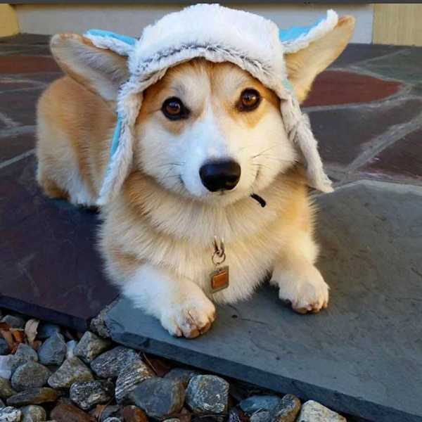 Косметические операции