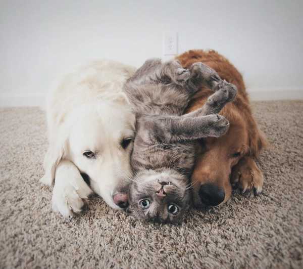 Резекция выпавшей прямой кишки