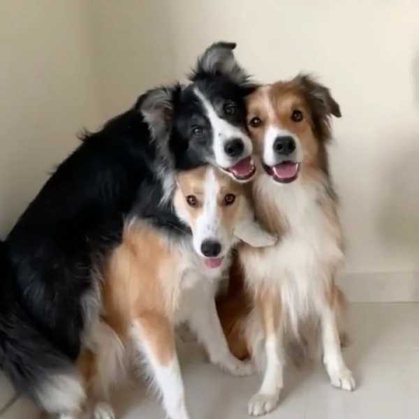 УДАЛЕНИЕ ЗУБОВ 